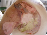 Small ryc 2 1 opt