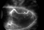 Small obraz53955 opt