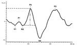 Small ryc 2 opt