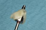 Small ryc 10 opt