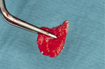 Small ryc 8 opt