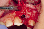Small ryc 9 opt