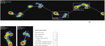 Small derm 147 rycina 6 opt