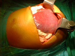 Small obraz86027 opt