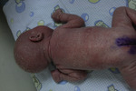 Small bernatowska 8 opt
