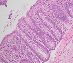 Small obraz132345 opt