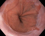 Small obraz133758 opt