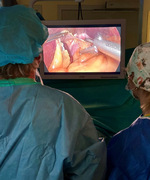 Small obraz133790 opt