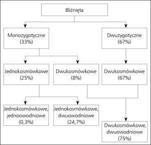 Small 21797