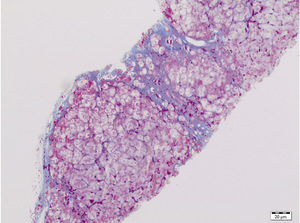 Small jankowska ryc8 opt
