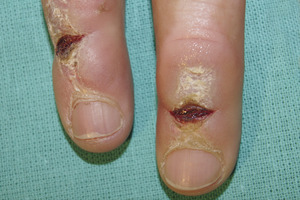 Small ryc.1.jpg opt