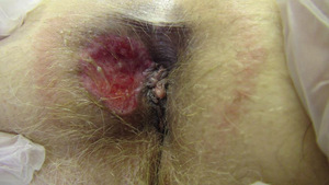 Small ryc 02 opt