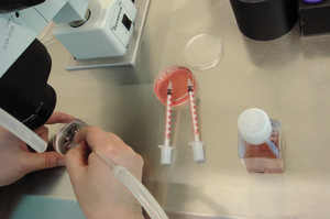 Small image008 opt