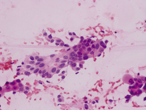 Small 3 .ptc 20x bac kat 6 opt
