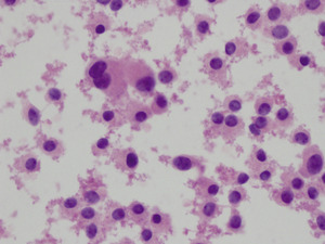 Small ryc.2 opt