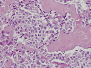 Small ryc.4 opt