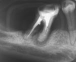 Small image003 opt