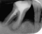 Small image005 opt