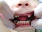 Small ryc 1 opt