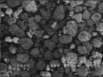 Small image002 opt