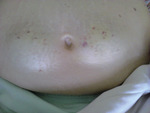 Small dsc 0266 x opt
