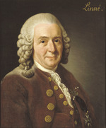 Small carl von linne opt