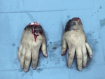Small img 05991 opt