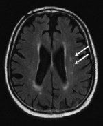 Small obraz2 opt