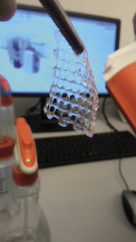 Small img 3496 opt
