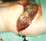 Small 4653