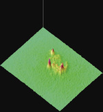 Small ryc 5 opt