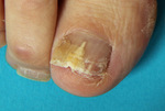 Small obraz8528 opt