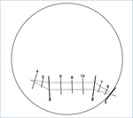 Small ryc 1 fmt