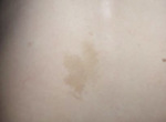 Small ryc 1 opt
