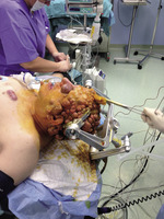 Small img 0866 opt