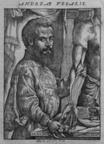 Small 1 vesalius fabrica por opt