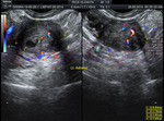 Small image13 opt