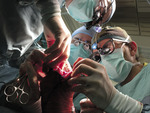 Small img 0605 opt