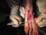 Small img 0589 opt