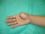 Small p1170200 opt