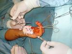Small p1170215 opt