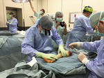 Small img 1433 opt