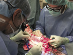 Small img 1463 opt
