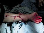 Small img 1538 opt