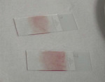 Small ryc 6 opt