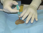 Small rycina 1 opt