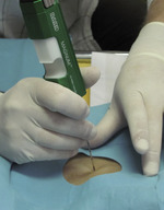 Small rycina 2 opt