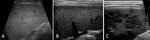 Small batko ryc.6 opt