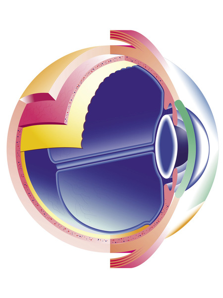 Medium fotolia 28281406 autor opt