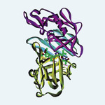 Small ryc 2 opt